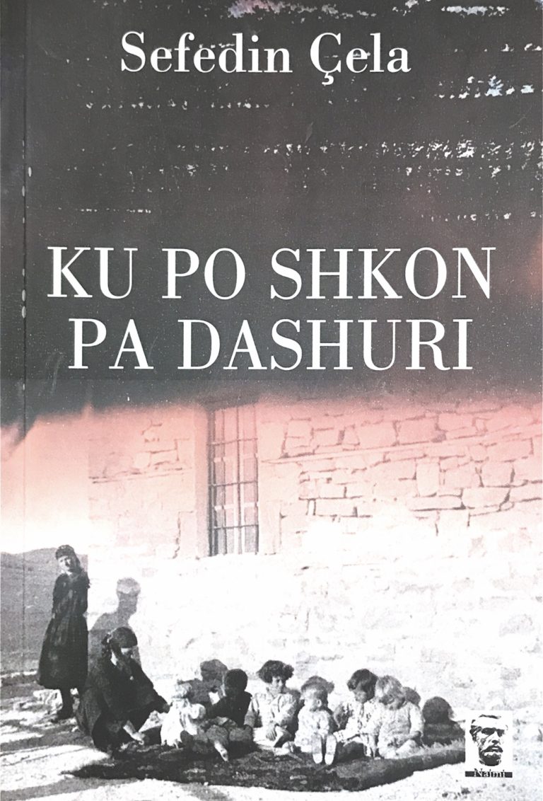 Ku po shkon pa dashuri