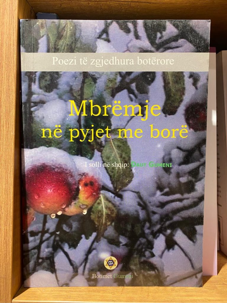 Mbremje me pyjet me bore