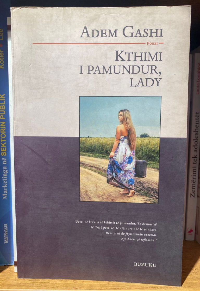 Kthimi i pamundur, lady