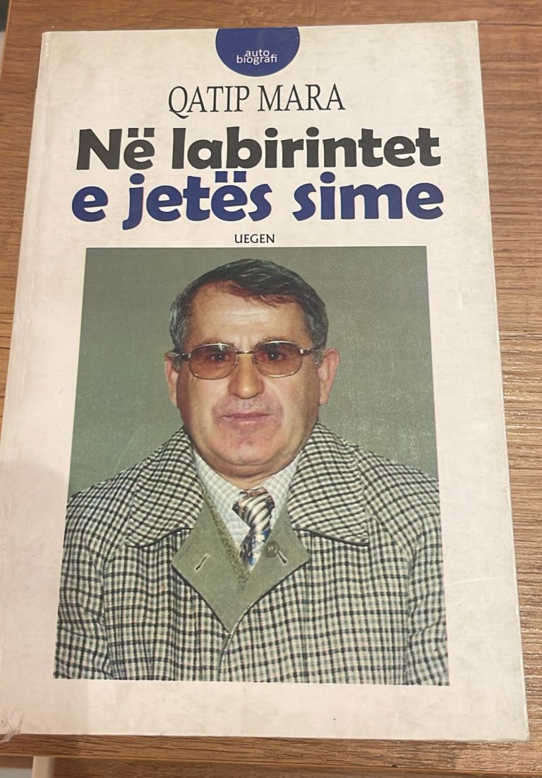 Ne labirintet e jetes sime