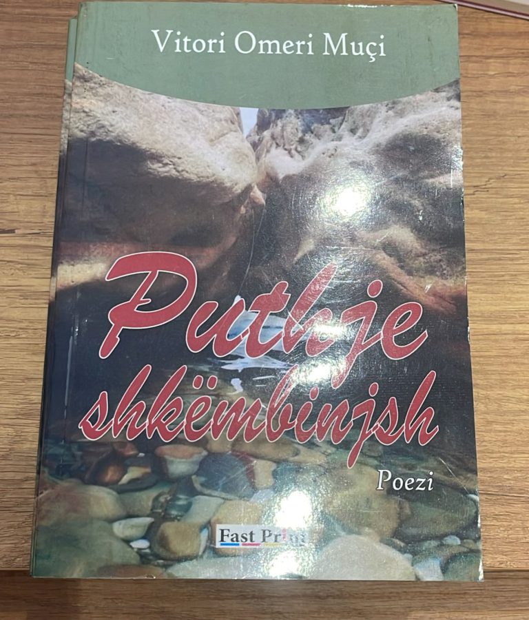 Puthje shkembinjsh