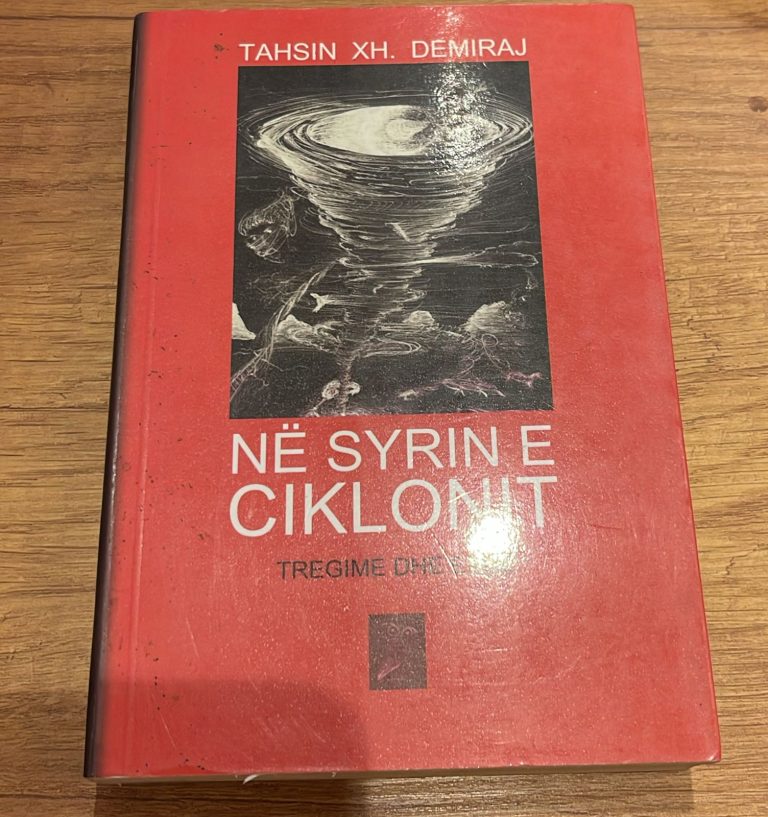 Ne syrin e ciklonit